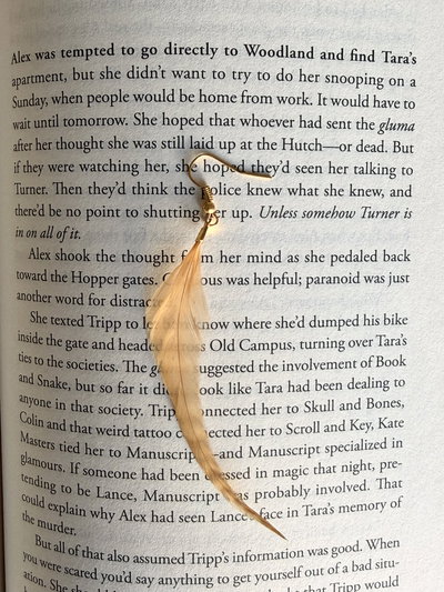 Aro plumita ❁ chic