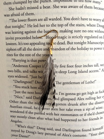 Aro plumita ❁ chic