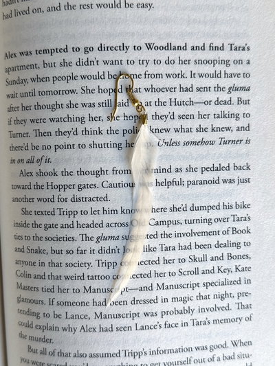 Aro plumita ❁ chic