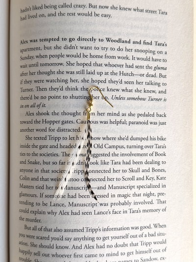 Aro plumita ❁ chic