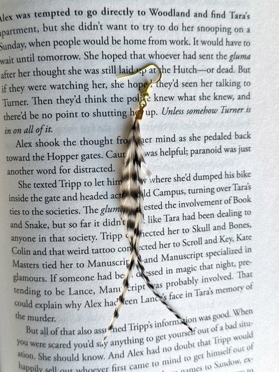 Aro plumita ❁ chic