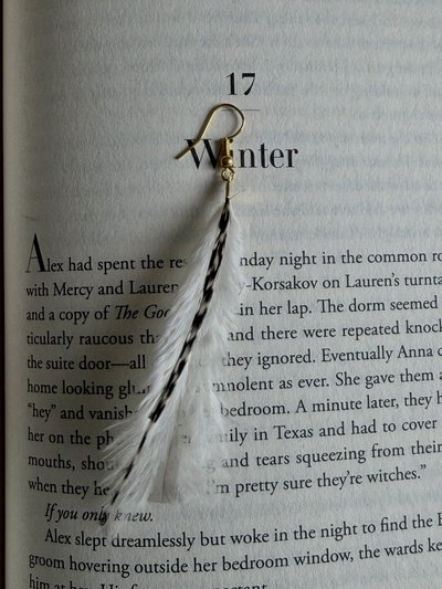 Aro plumita ❁ chic