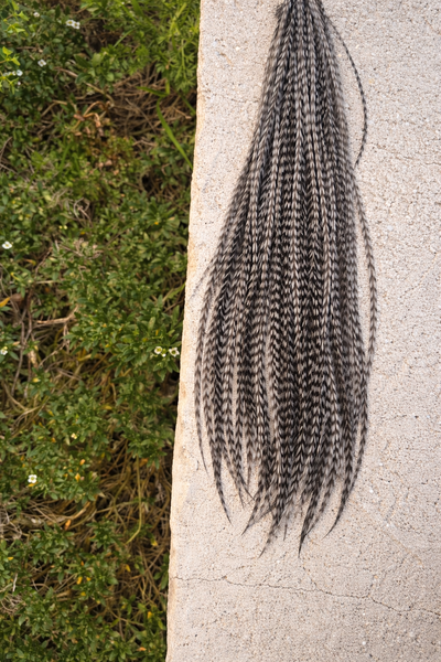 Plumita ✿ Arrayanes 