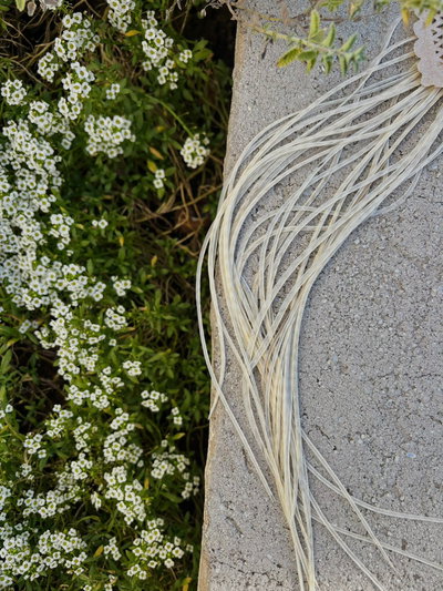 Plumita ✿ Glaciares 