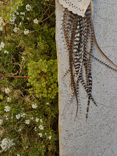Plumita ✿ Tierra del fuego 