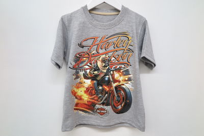 Remera DAVIDSON