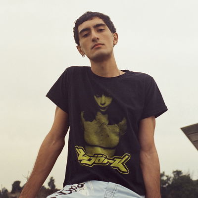 Remera Björk Cropped