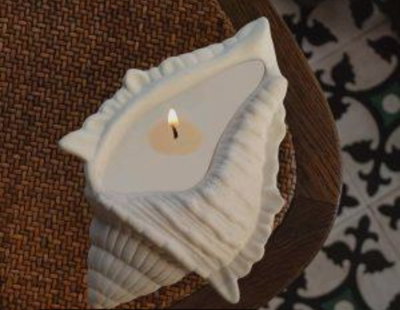 Molde de silicona Caracol grande marino