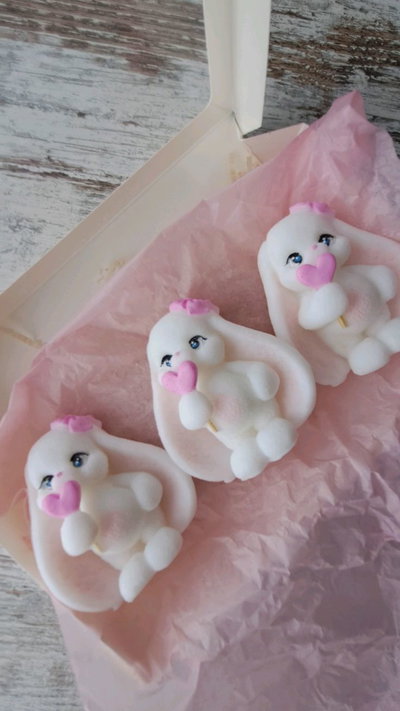 Molde de silicona coneja con chupetin