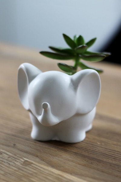 Molde de silicona Maceta elefante