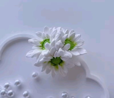 Molde Crisantemos x 3