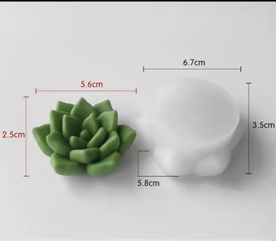 Molde  suculenta puntitas