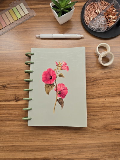 Cuaderno Discos MALVA