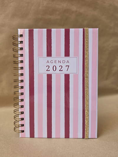 Agenda 2027 Dos dias por página - Colección PASTEL
