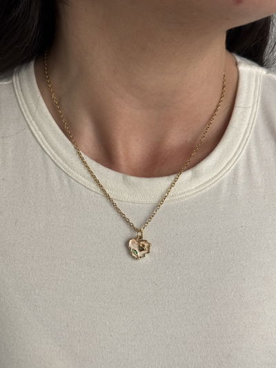 COLLAR ANGELA ACERO QUIRURGICO