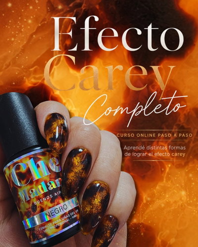 Precompra - Curso Efecto Carey Completo