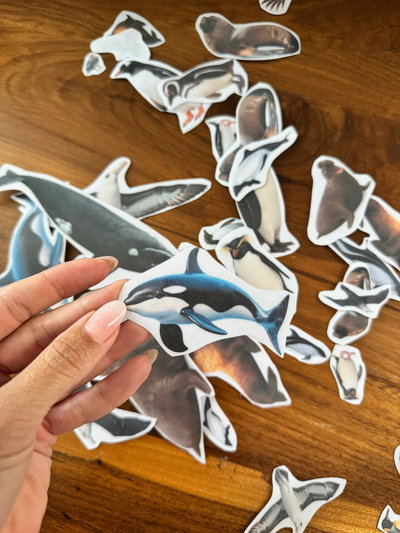 2 de Abril - Malvinas Argentinas