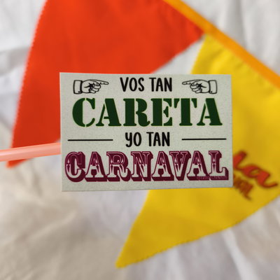 Vos tan Careta, yo tan Carnaval | Sticker
