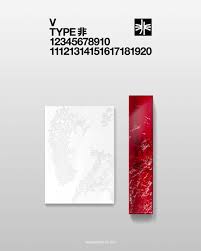 [pedido a Corea]  V – ‘TYPE 非’