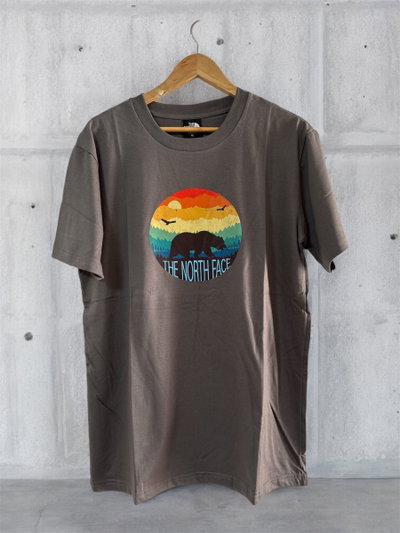 Remeras THE NORTH FACE ✨