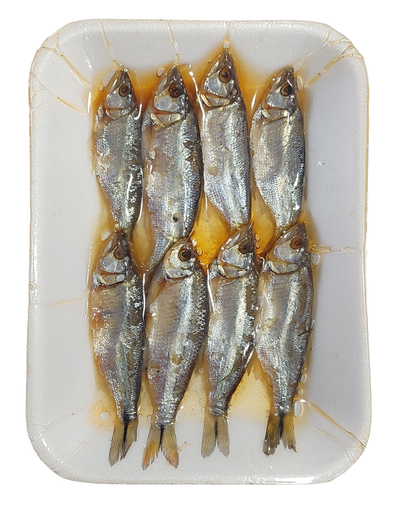 Carnadas - Dientudo en bandeja al vacio  Carnada