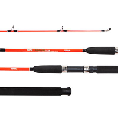 WATERDOG - Cañas 2 Tramos 1,95 m Maciza - IGUAZU1952R