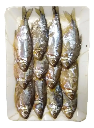 Carnadas - Mojarron en bandeja al Vacio Carnada