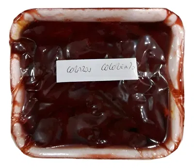 carnada gran pique corazon