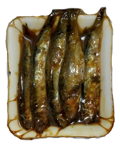 carnada al vacio gran pique anchoita