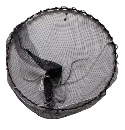 Regueira - Medio mundo Regueira 60cm de diametro