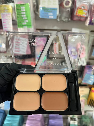 PALETA DE CORRECTORES