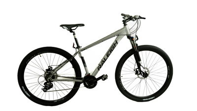 Bicicleta Raleigh Mojave 2.0 Rod 29 Aluminio