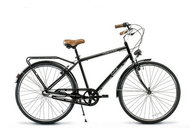 Bicicleta Raleigh Classic Nexus Hombre Rod 28