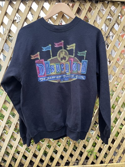 Buzo Disneyland