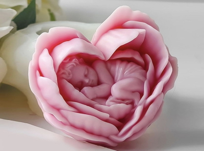 ROSA CORAZÓN CON BEBÉ 