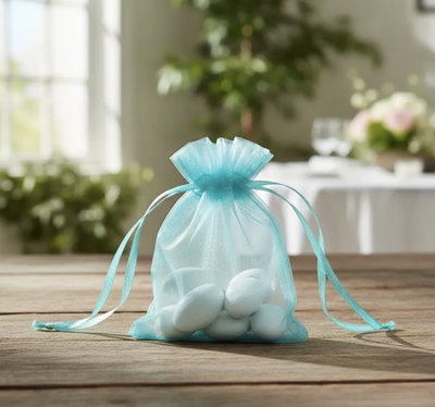 BOLSITAS ORGANZA POR 10 UNIDADES 
