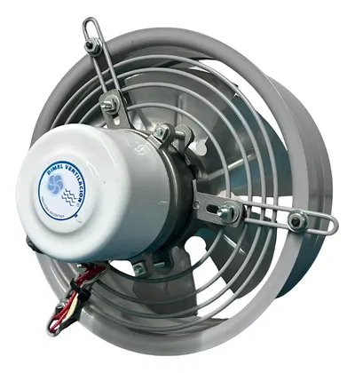 Extractor Semi Industrial 25cm Reversible Rulemanes Acero