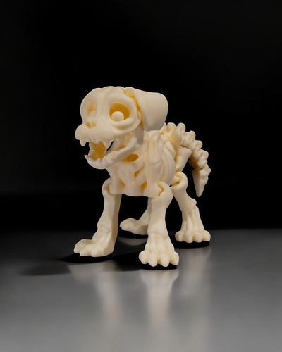 Flexi Perro esqueleto