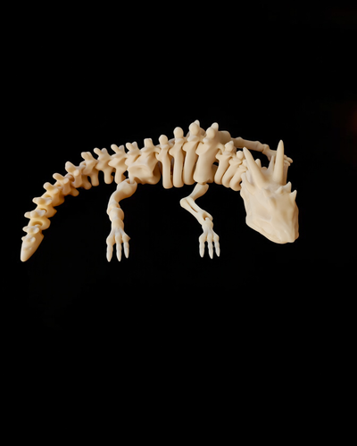 Flexi Dragon esqueleto