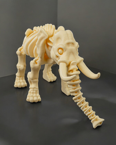 Flexi Elefante esqueleto