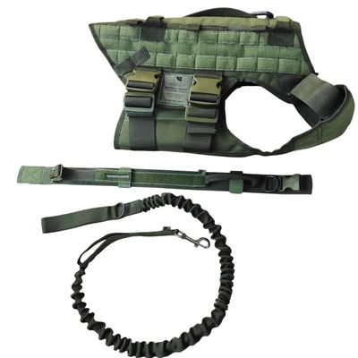 Chaleco + collar n4 + correa angosta k9