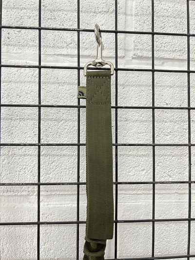 Correa canina angosta