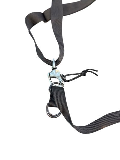 Correa de 1p fija con gancho plateado