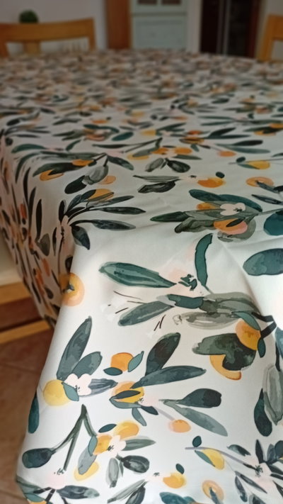Mantel Impermeable 2.50 mts