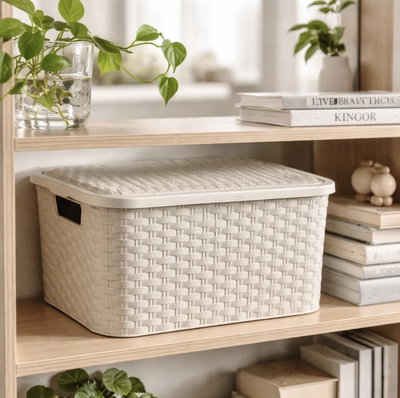 Canasto organizador rattan n2 