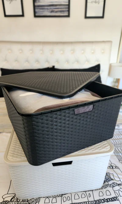 Canasto organizador n4 rattan 