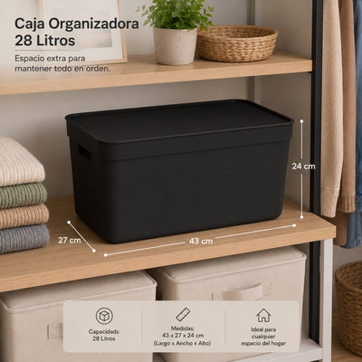 Caja organizadora 28 lt con tapa 