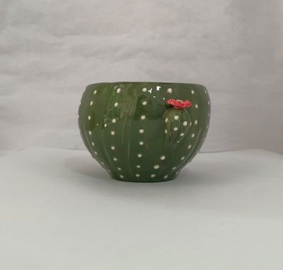 Tazón Cactus 