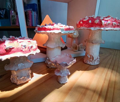 Hongos: Diferentes Tamaños