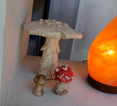 Hongos: Mediano color liso - combo chiquitos 